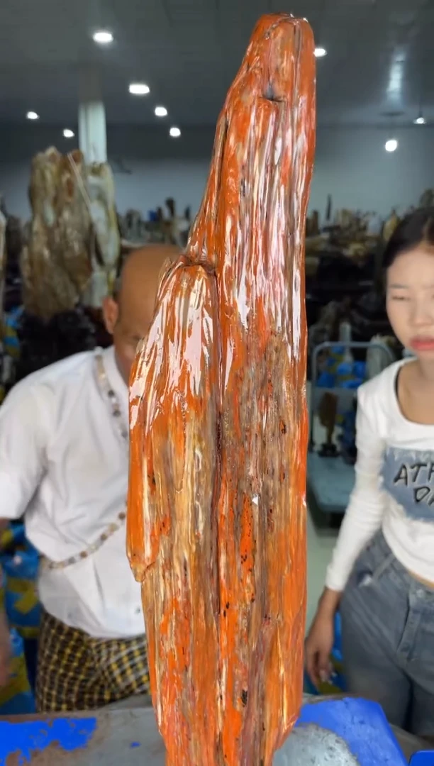 未镶嵌摆件硅化玉21