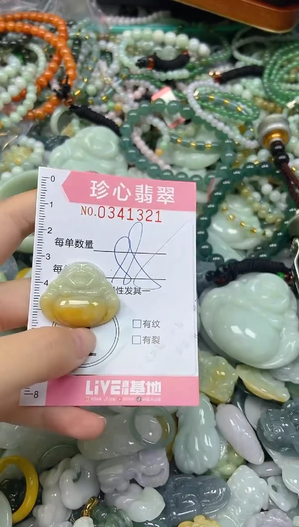 颈饰未镶嵌翡翠闪购0341321
