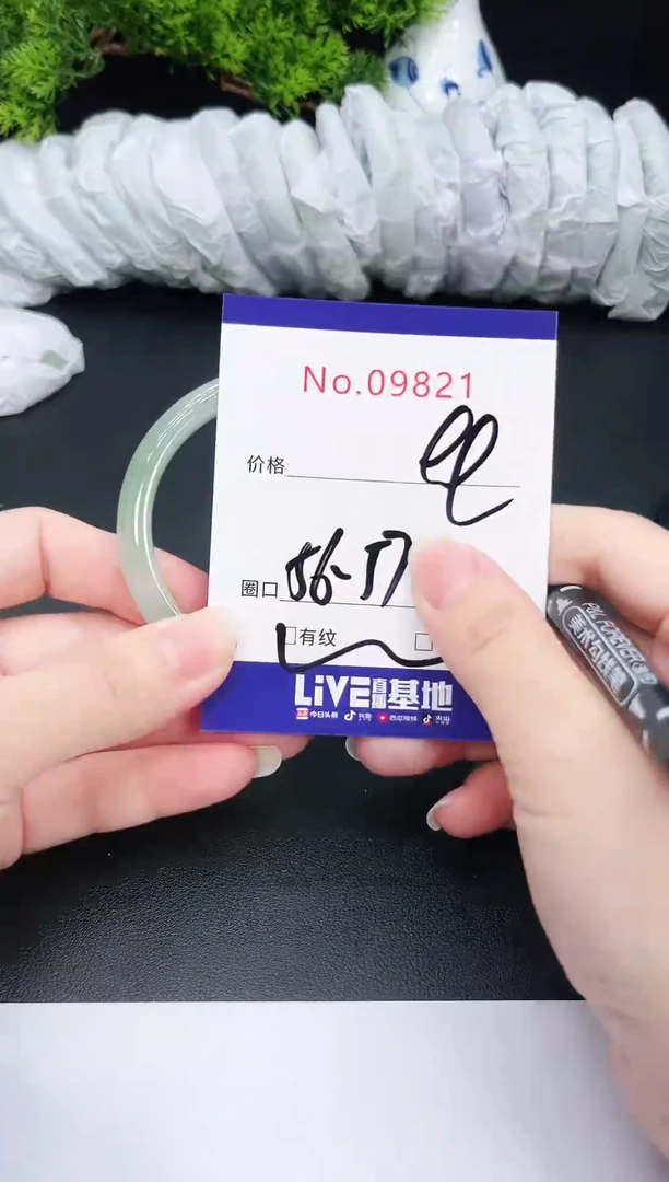 未镶嵌手镯翡翠9821