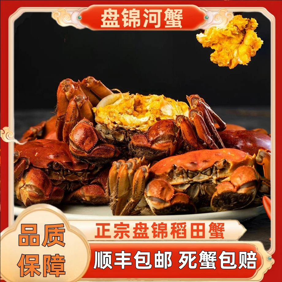 【活蟹】正宗盘锦河蟹母蟹1-1.3两*26只顺丰包邮鲜活现发