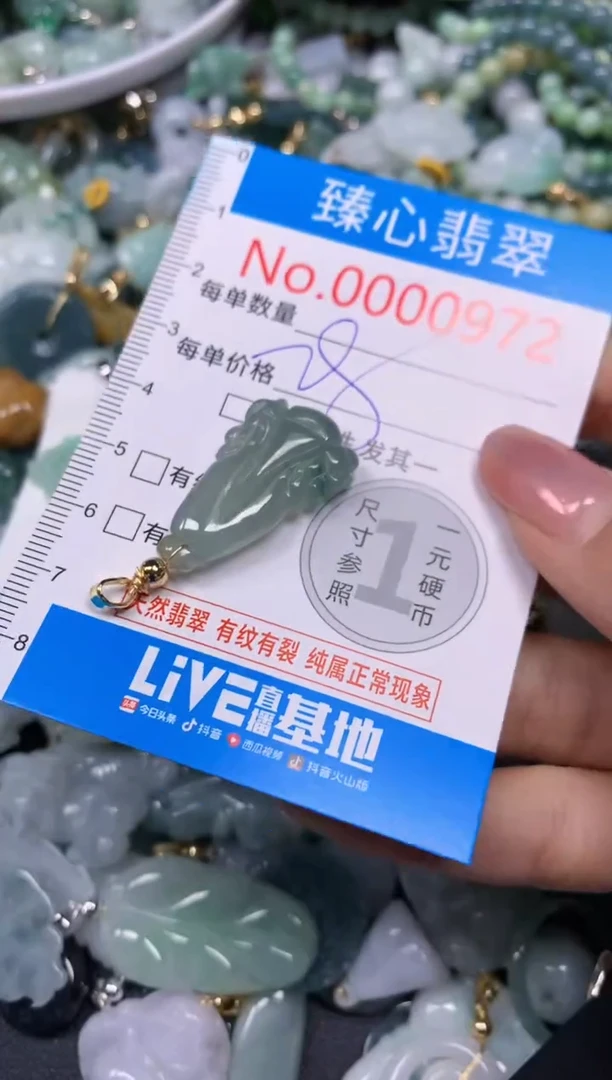 【闪购商品】翡翠颈饰未镶嵌含绳000972