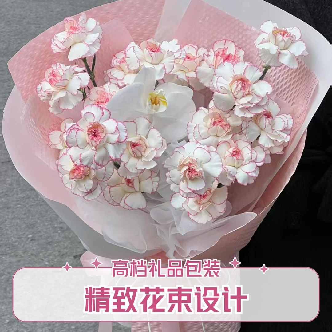 19支康乃馨加蝴蝶兰