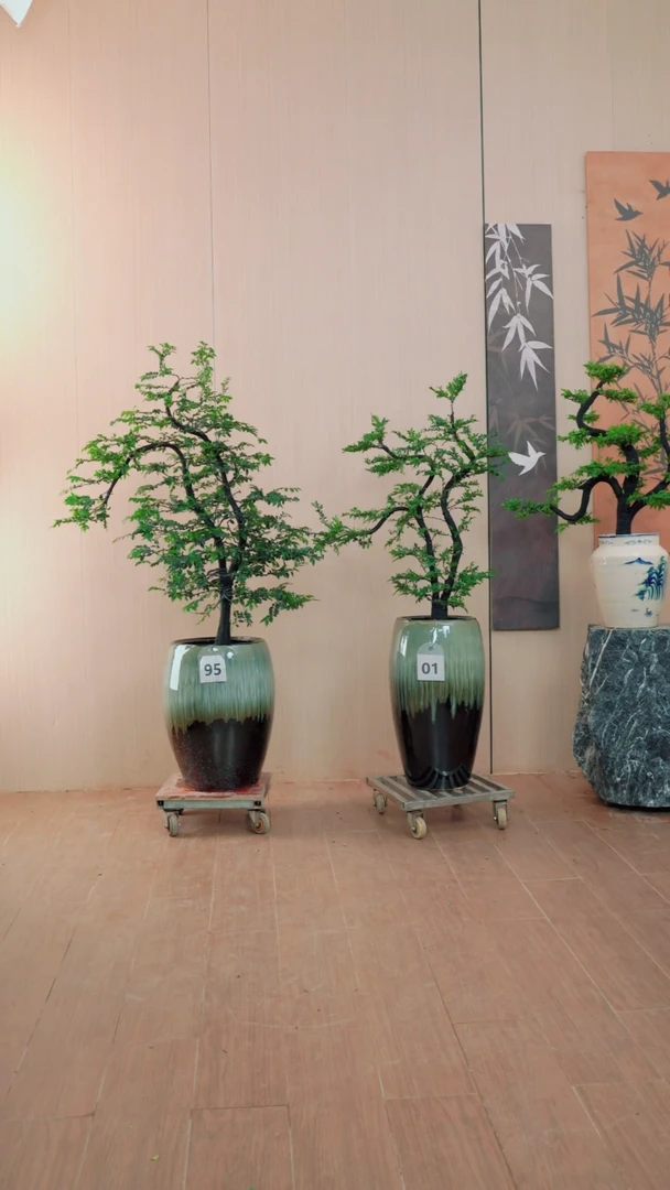 无花朵【闪购链接】01号链接