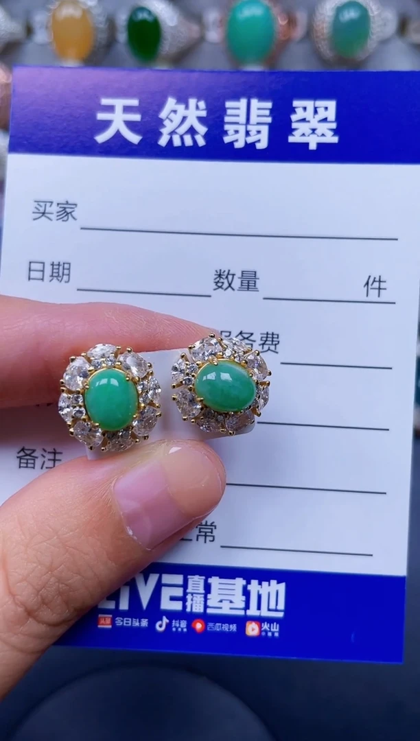 银S925镶嵌翡翠耳饰390