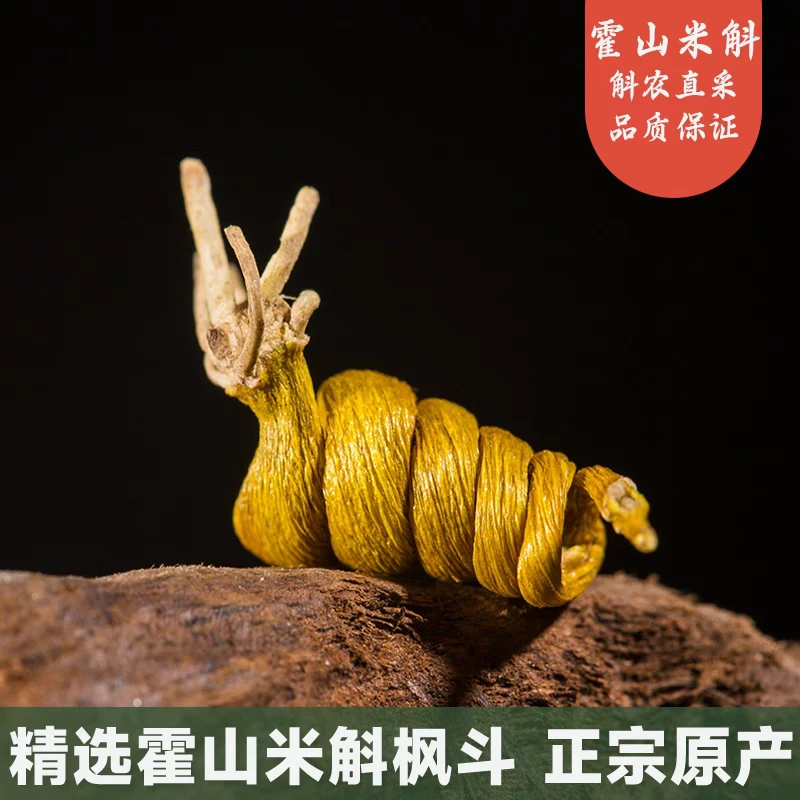 霍山龙头凤尾米斛枫斗正宗石斛营养滋补