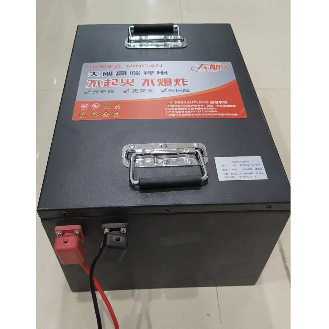 60v100型锂电池电动车老年代步车适用大容量电瓶