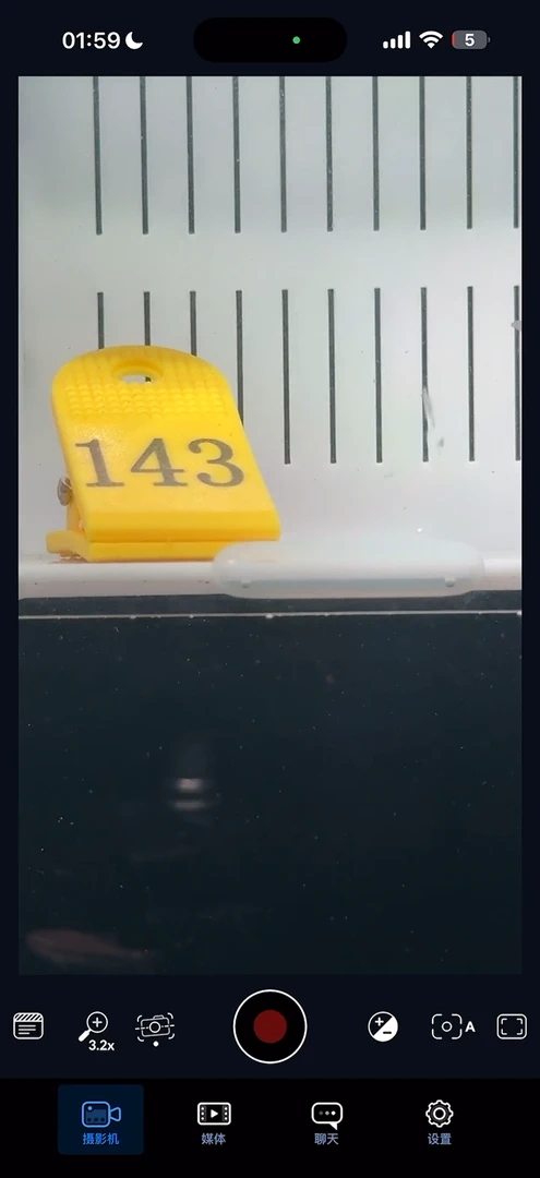 灯科鱼【143】四红灰太狼