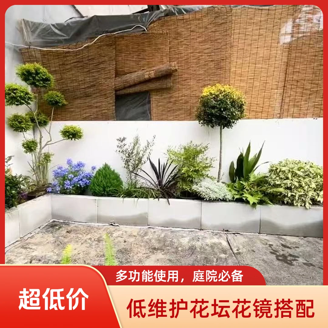 花镜绿植庭院造景花池花箱搭配圆球造型植物组合