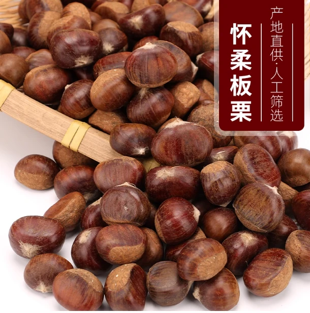 2025怀柔新鲜板栗油栗甘甜香脆饱满多汁现摘栗子