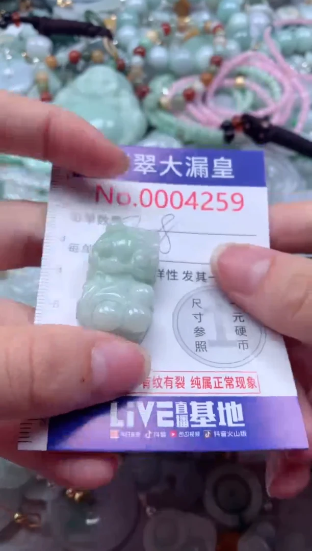 翡翠未镶嵌吊坠(不含链)4259