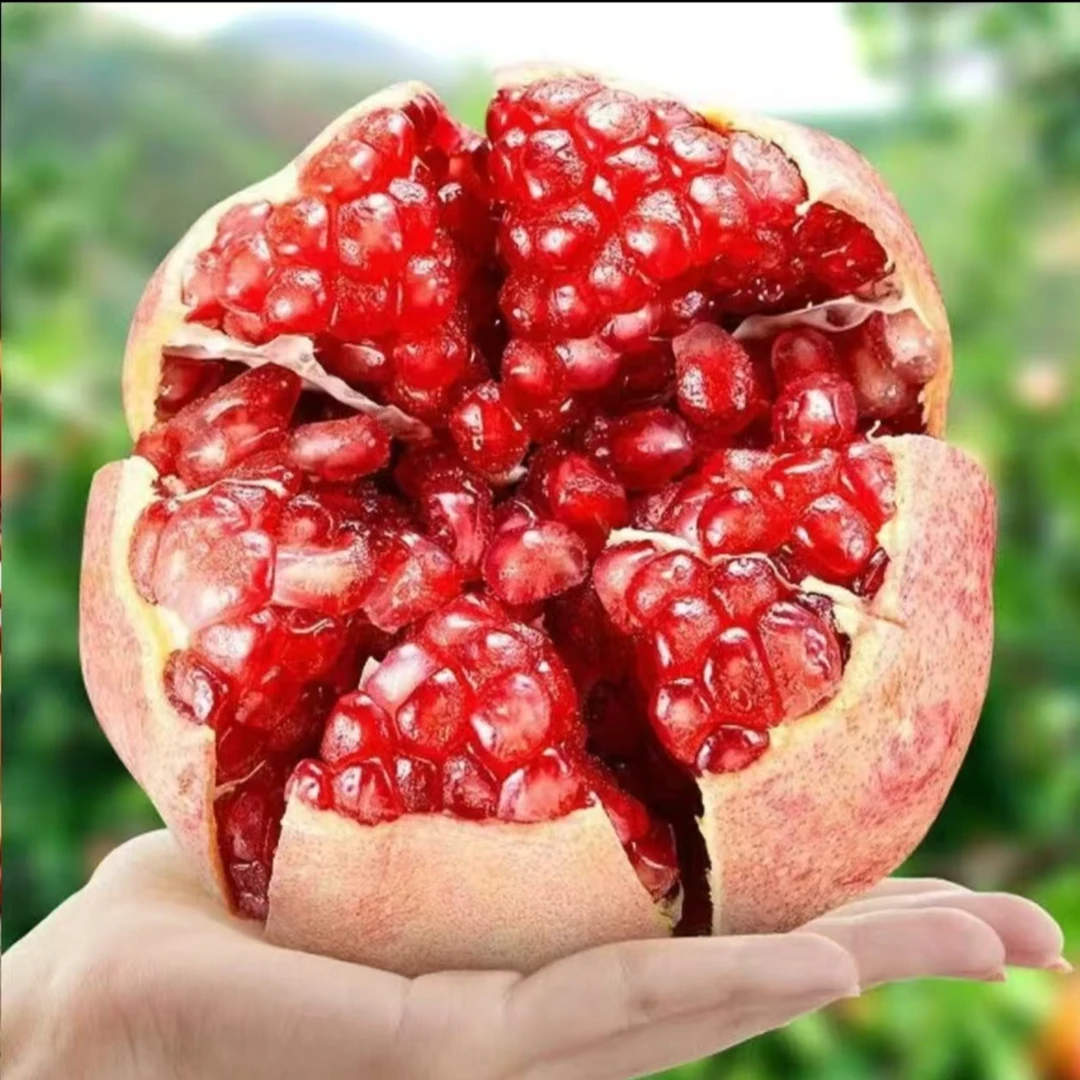 【产地直发】正宗四川会理突尼斯软籽石榴不用吐籽应季鲜果香甜多汁