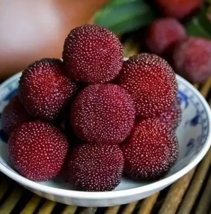 杨梅约1斤 约1斤