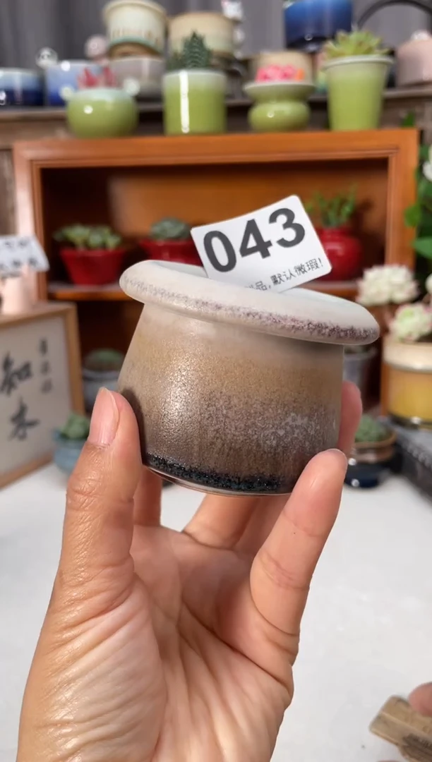 瓷片043知木小芳花盆