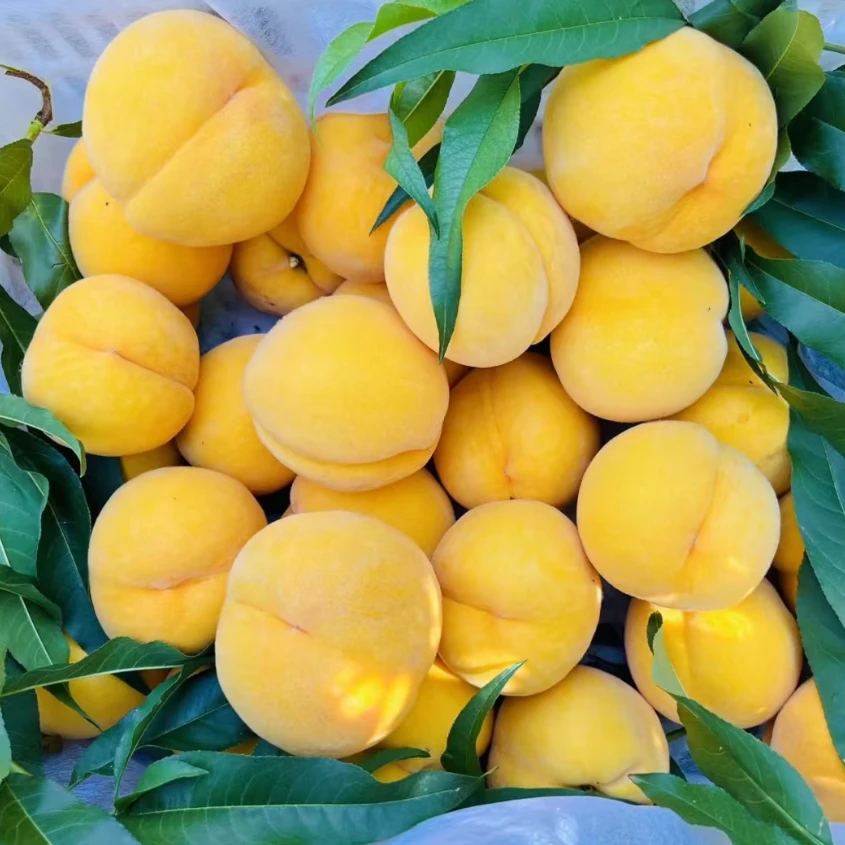 黄桃±50g｜蜜甜口黄桃同城送