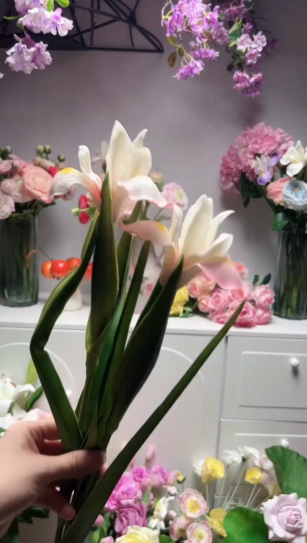 2枝粉色鸢尾花花