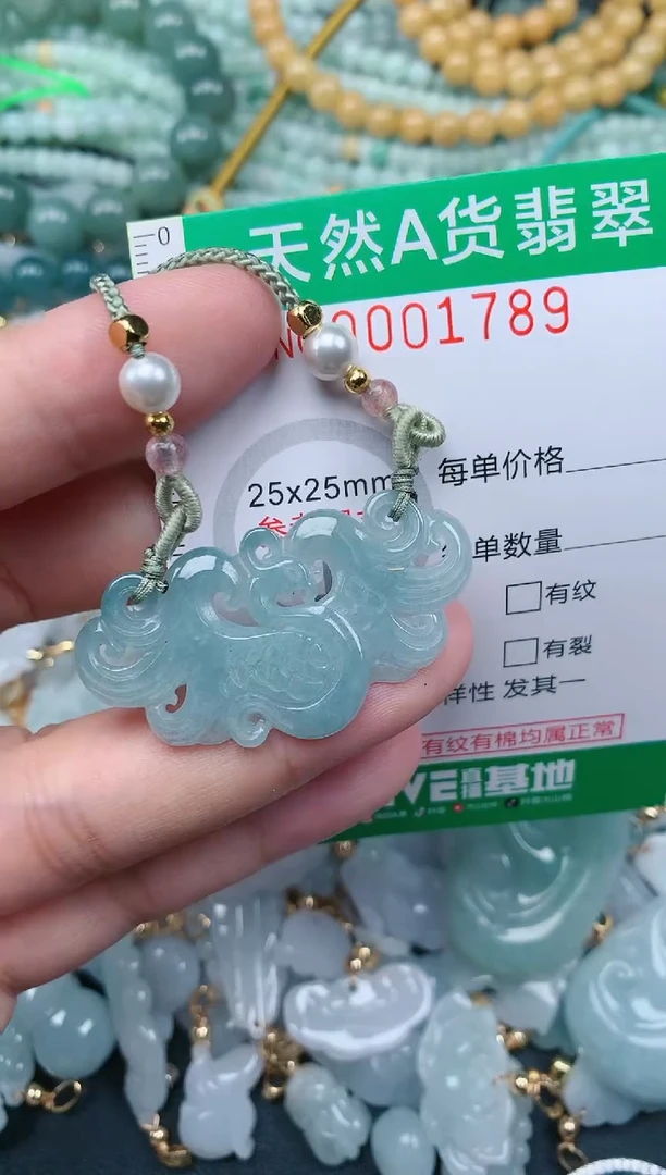 翡翠未镶嵌颈饰.0001789