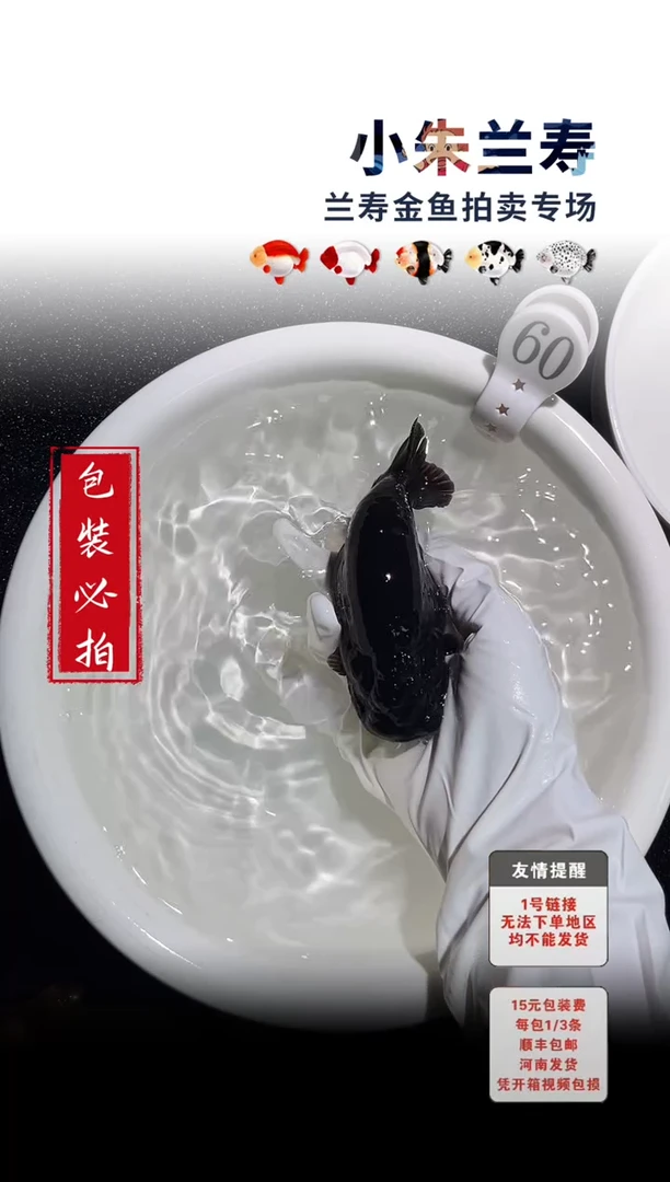 金鱼包装必拍未拍顺丰到付60号