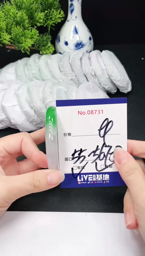 未镶嵌手镯翡翠8731