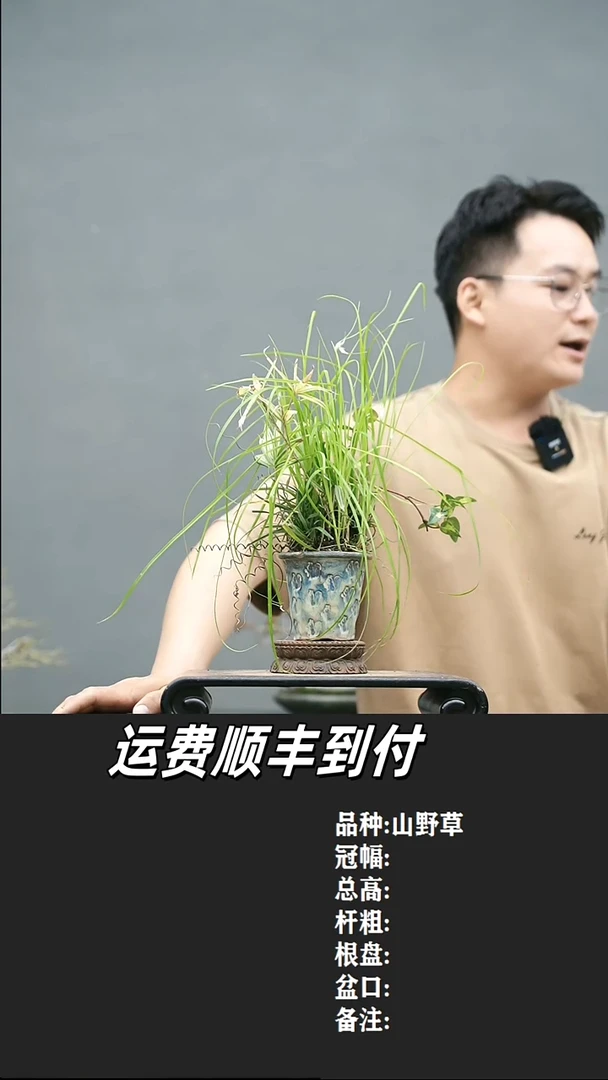 1****前1 山野草