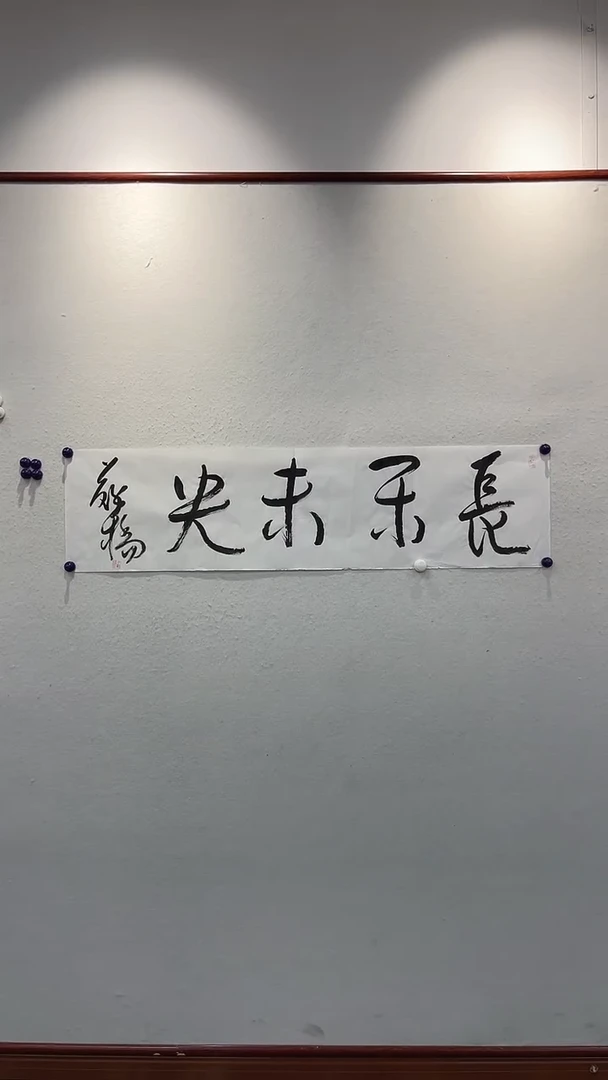 书法11111111111111