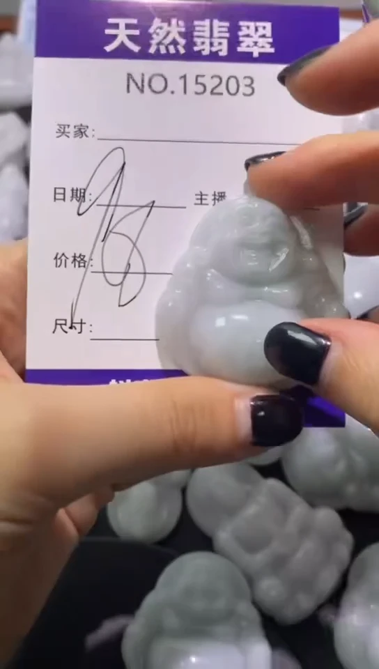 翡翠未镶嵌吊坠(赠链)203