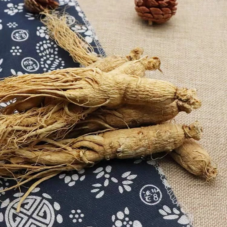 人参条干人参整枝生晒参人叁有须根无硫