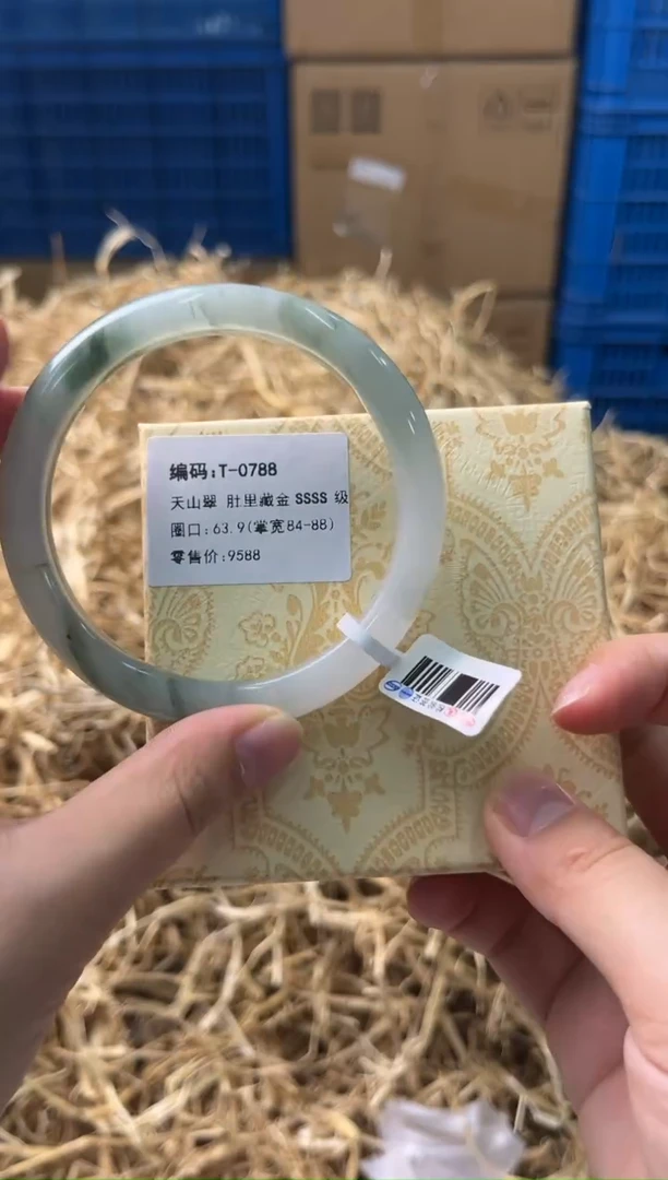 未镶嵌手镯石英质玉T-0788