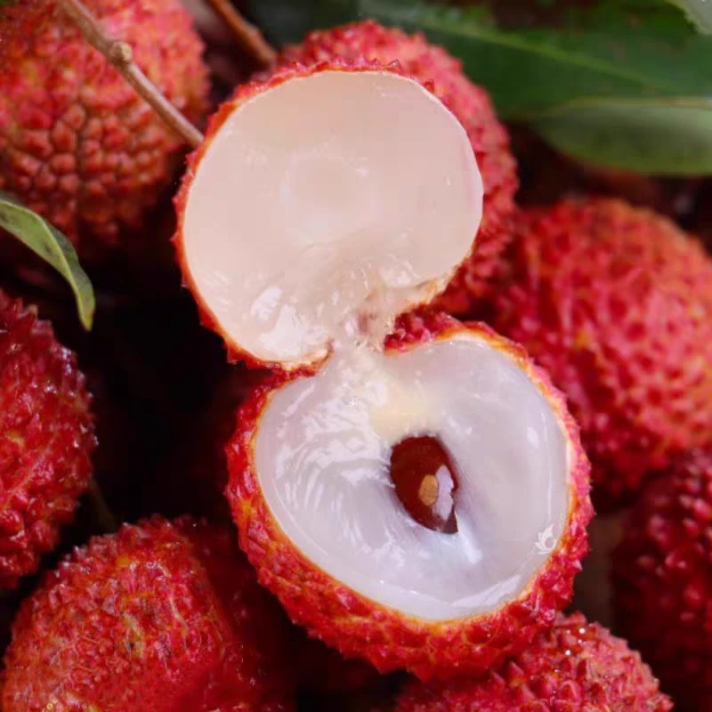 【配送到家】桂味荔枝新鲜采摘应季水果荔枝同城送广东省