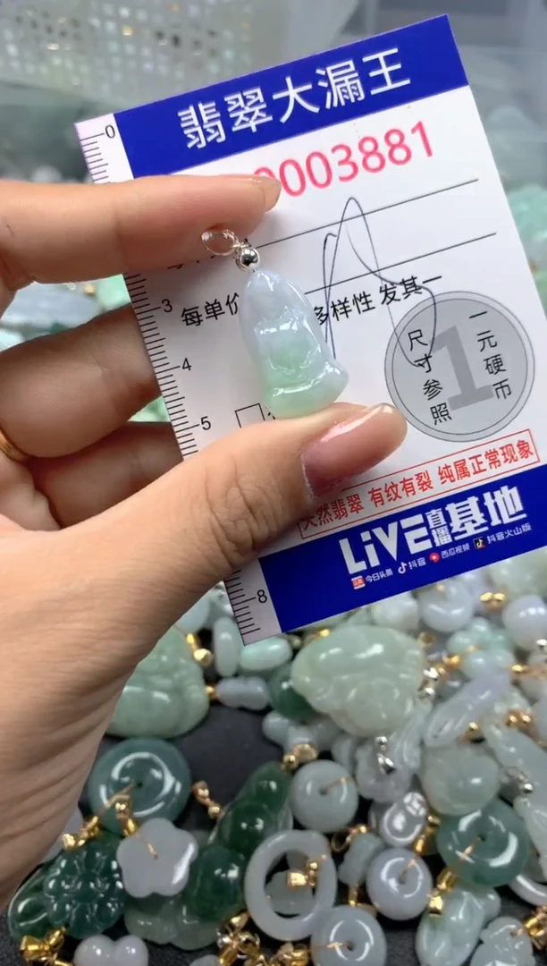 颈饰未镶嵌翡翠3881