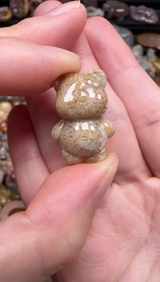 颈饰未镶嵌硅化珊瑚（珊瑚玉）544