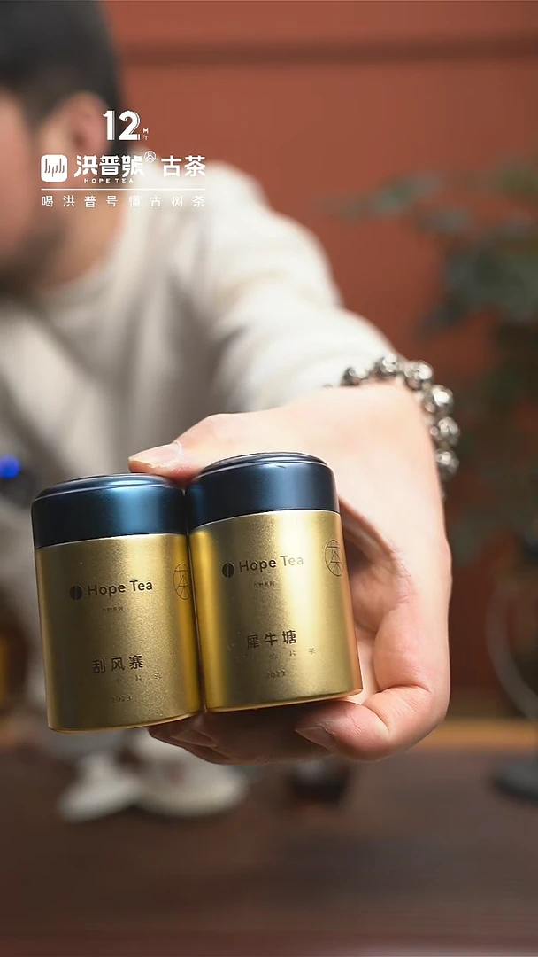 【闪购商品】23年春犀牛塘 刮风寨小片茶套装2罐