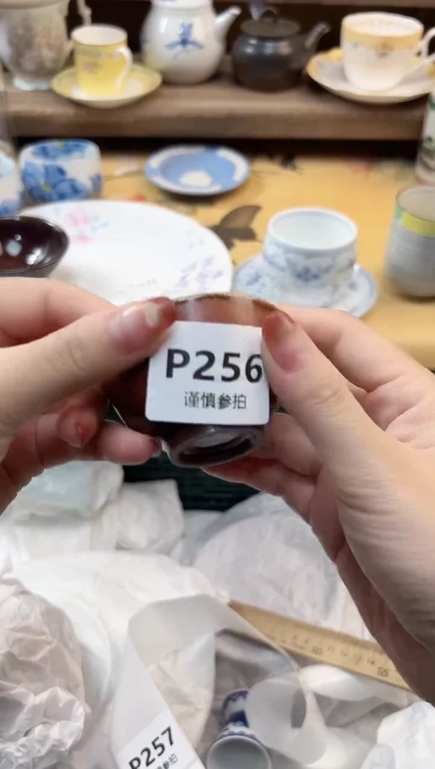 瓷片彤*娜 256