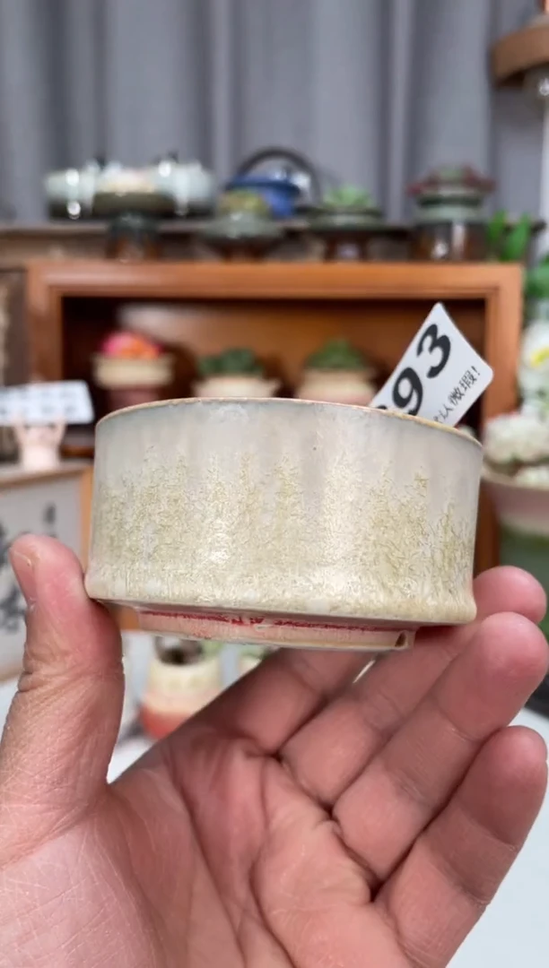 瓷片693小芳直播编号