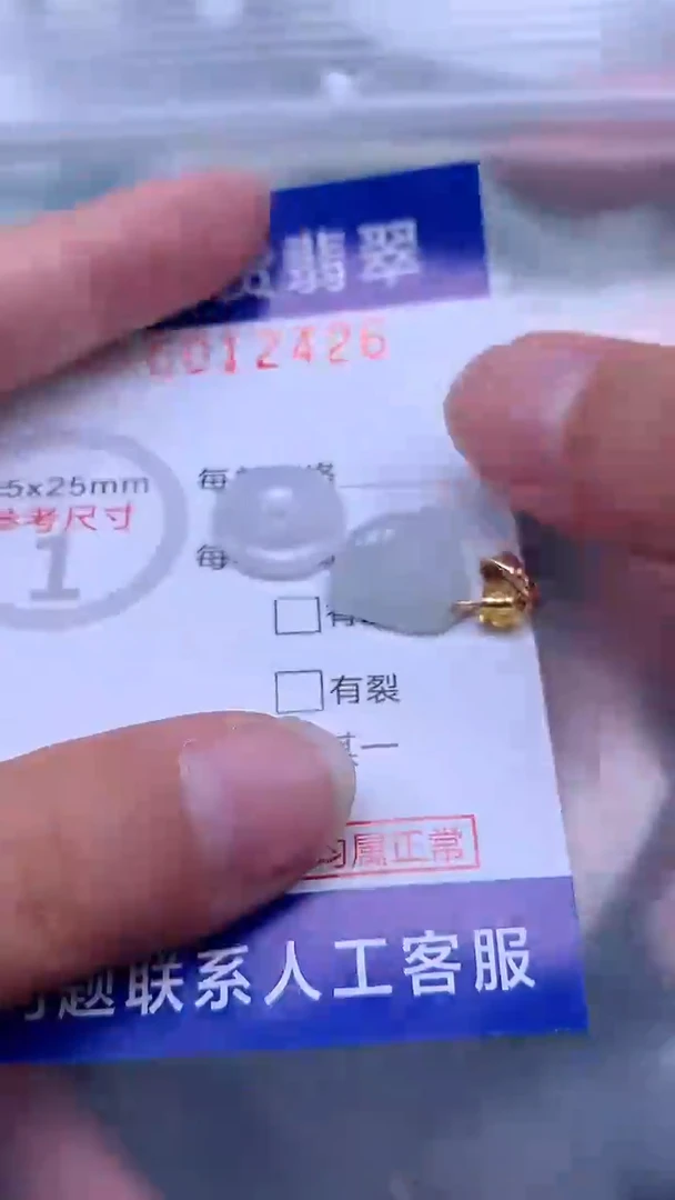 翡翠未镶嵌吊坠(不含链)1