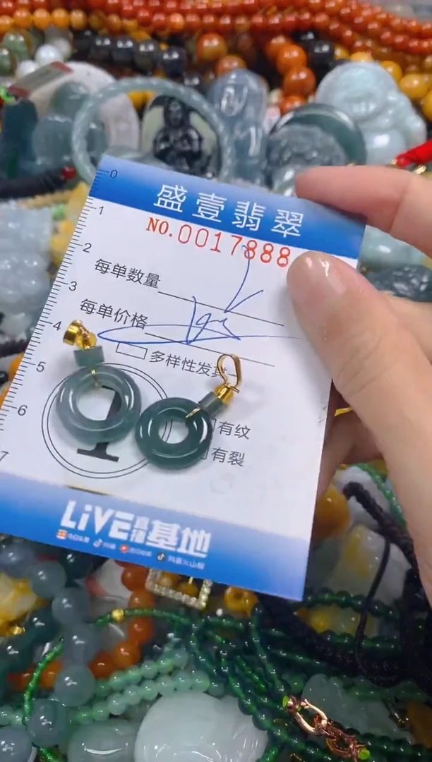 颈饰未镶嵌翡翠闪购0017888多样性发其一