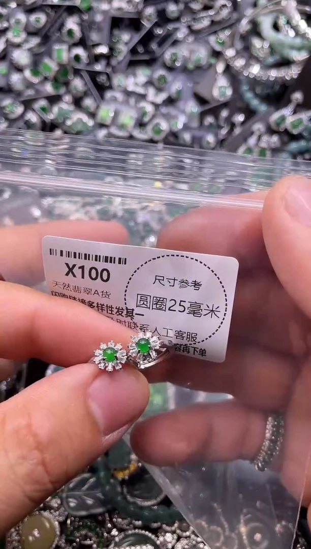 翡翠未镶嵌颈饰X100耳扣