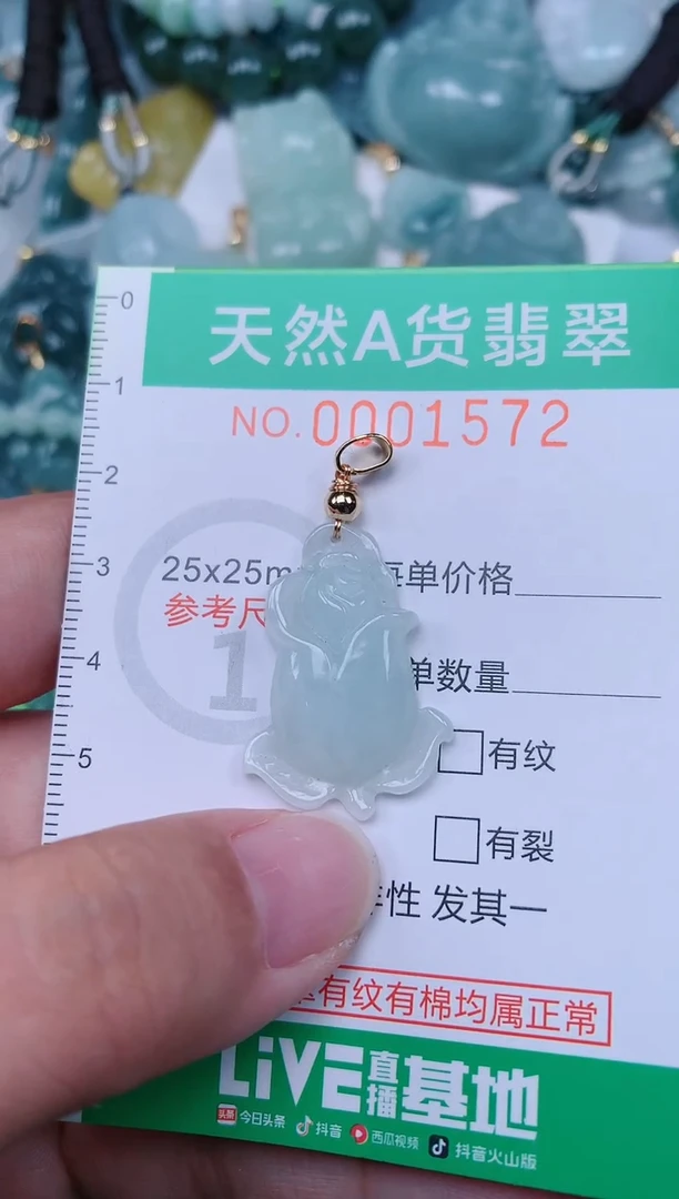 颈饰未镶嵌翡翠.0001572