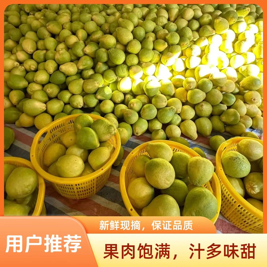 正宗容县沙田柚中大果应季鲜果肉厚香甜多汁农家