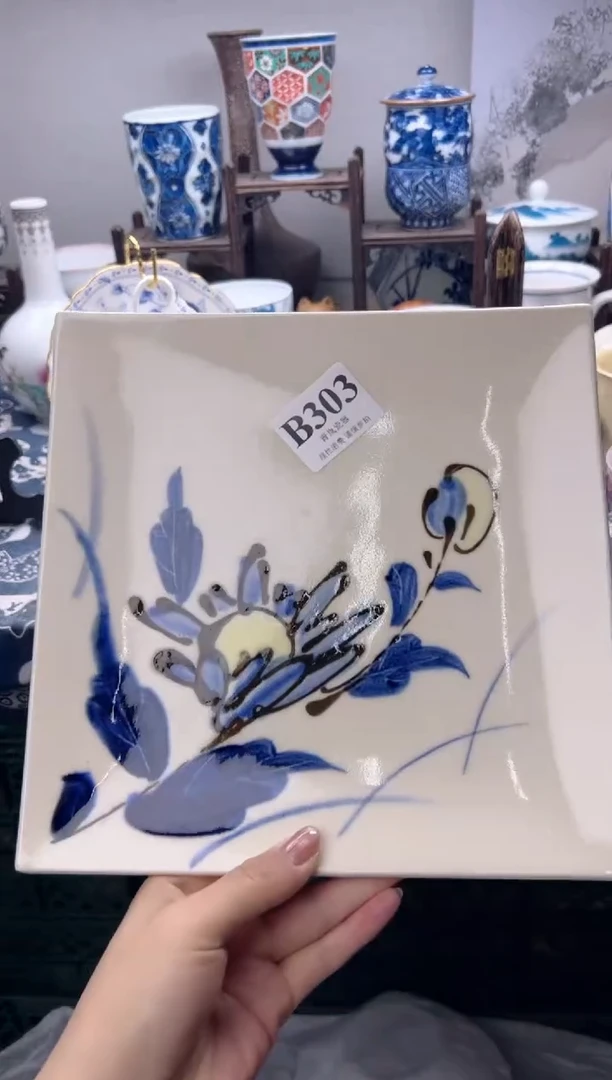 瓷片柳*柳  B303