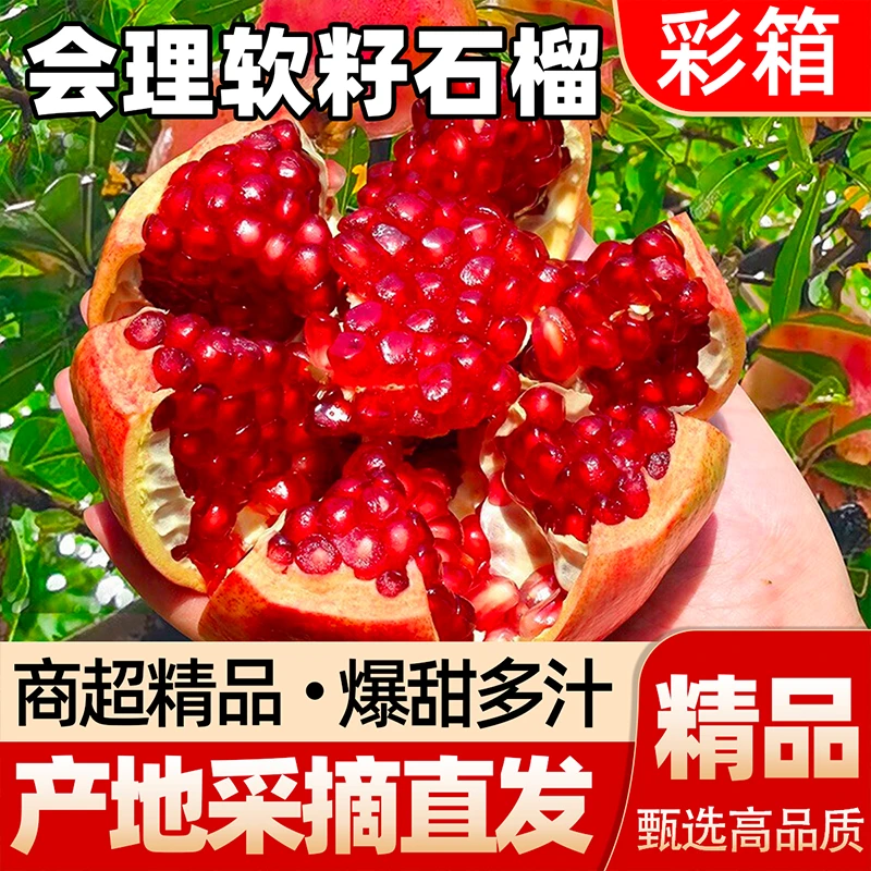 【产地直发】正宗四川会理软籽石榴产地直发纯甜爆汁精品果彩箱发货