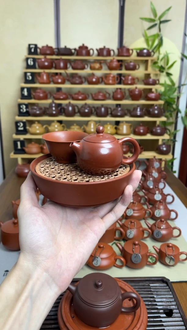 学***锤24号西施50c+滤网壶承