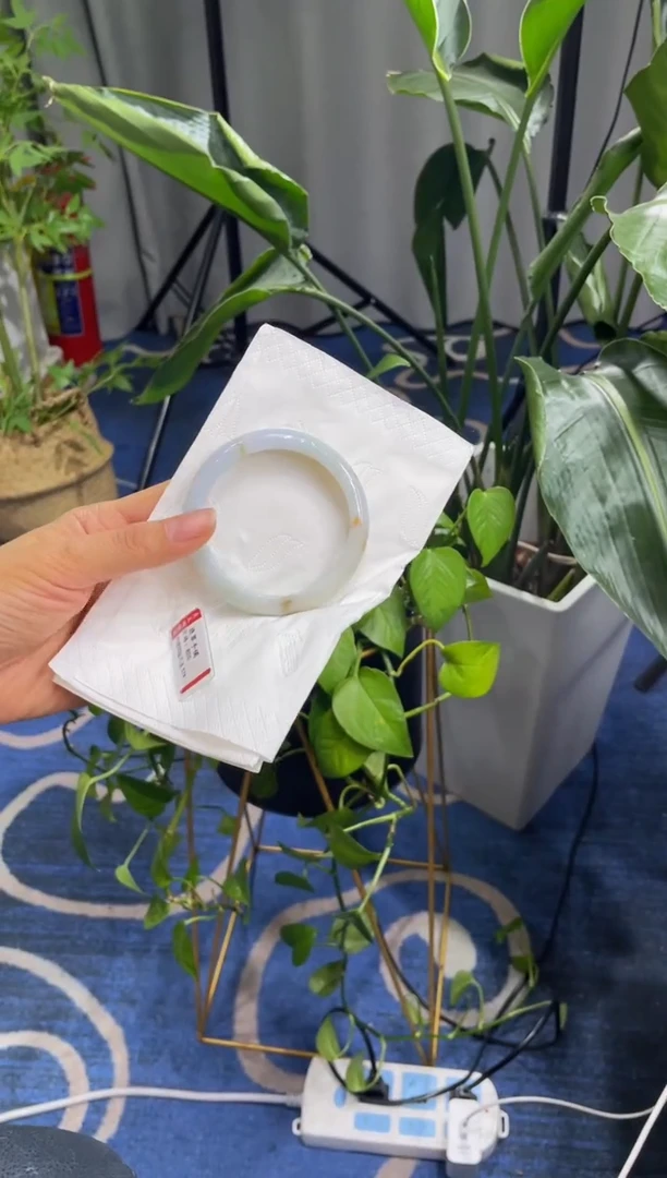 未镶嵌手镯翡翠6976****