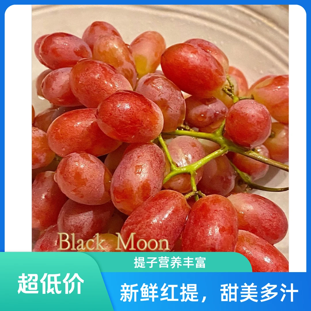 红提葡萄  1000g