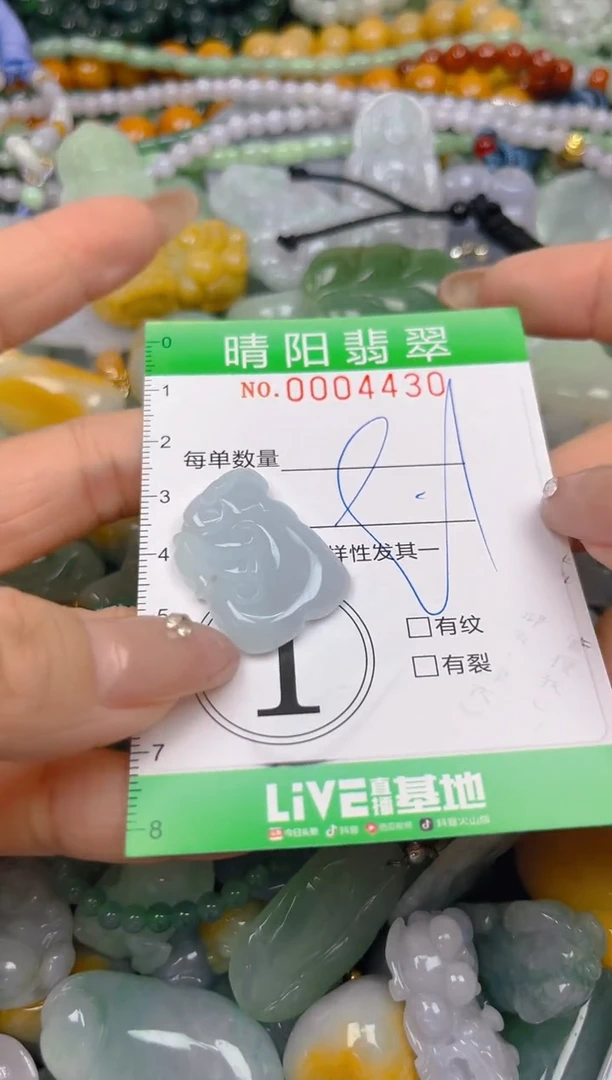 颈饰未镶嵌翡翠闪购0004430