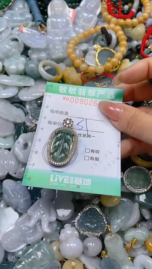 【闪购商品】翡翠颈饰未镶嵌闪购0090262