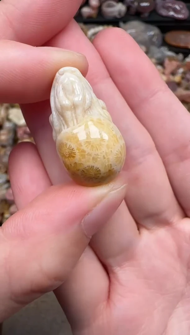 颈饰未镶嵌硅化珊瑚（珊瑚玉）042