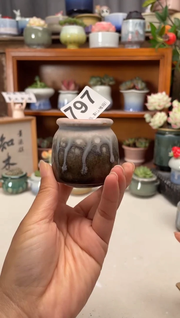 瓷片797知木小芳花盆