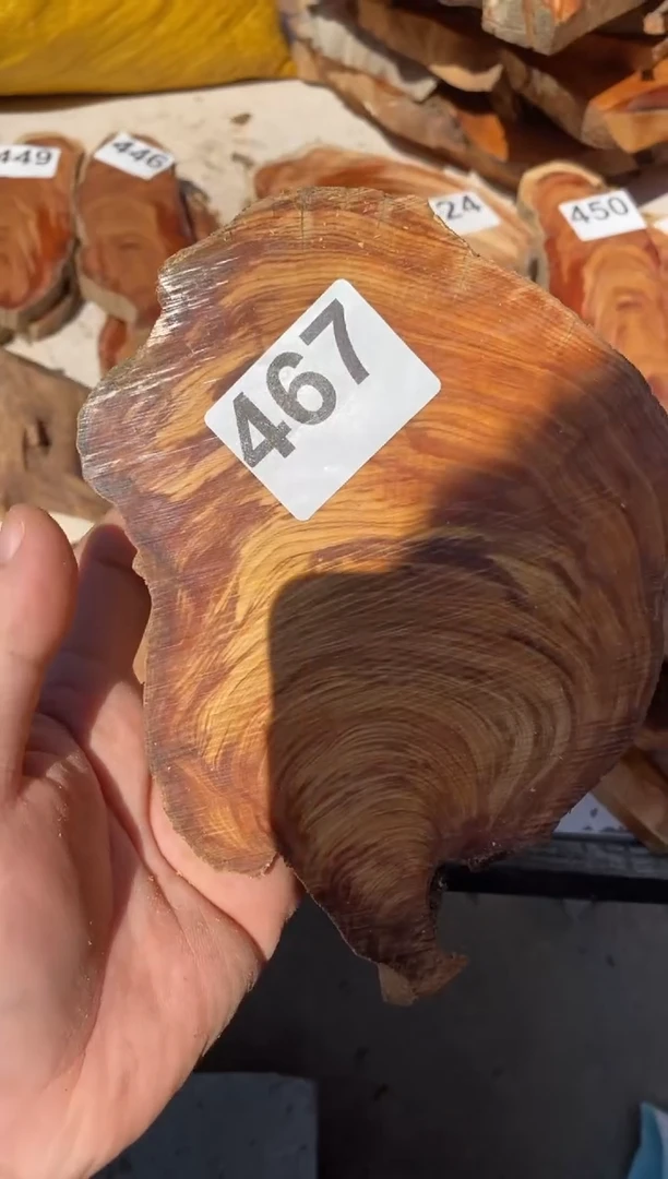 柏木（崖柏）太行陈化崖柏切片一块（津诚林）467