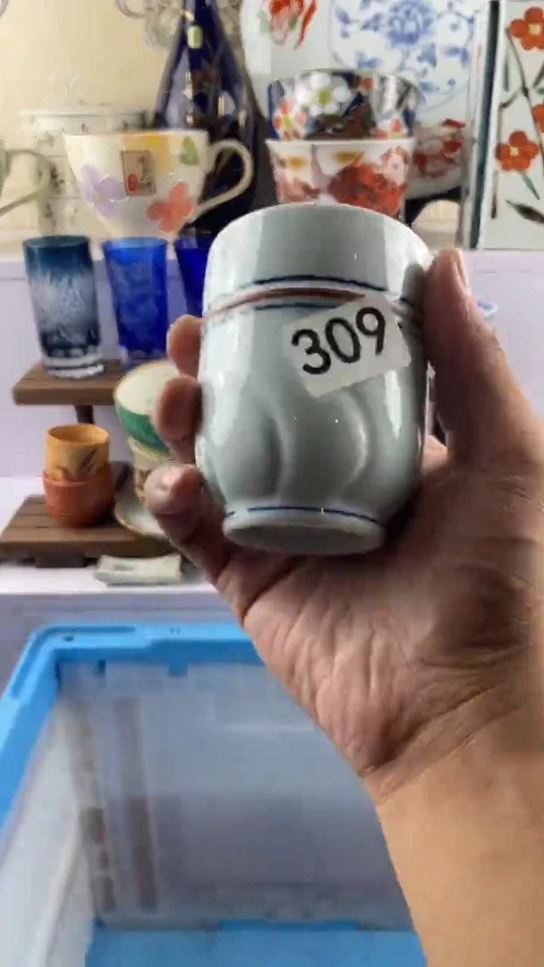 瓷片菊*309满28元包邮谨慎参拍