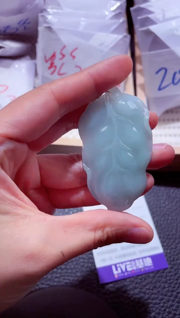 颈饰未镶嵌翡翠00000299